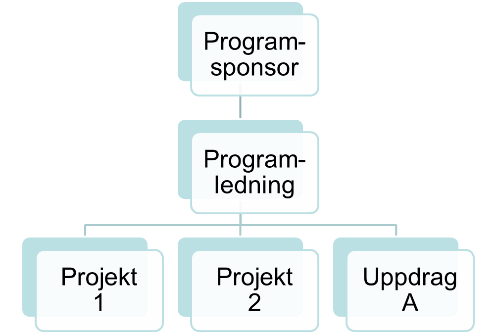 Figur 2: Exempel på programorganisation med två projekt och ett uppdrag som utförs i linjen.